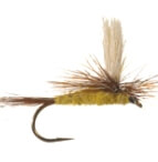 San Juan River fly fishing.