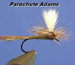 parachute adams