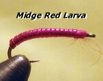 midge red larva