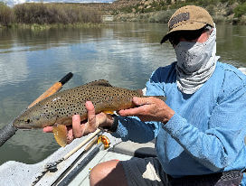 light tackle largemouth
