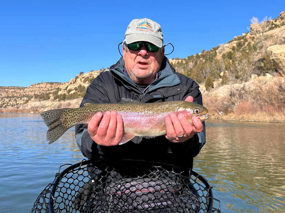 Client releasing large rainbow trout.