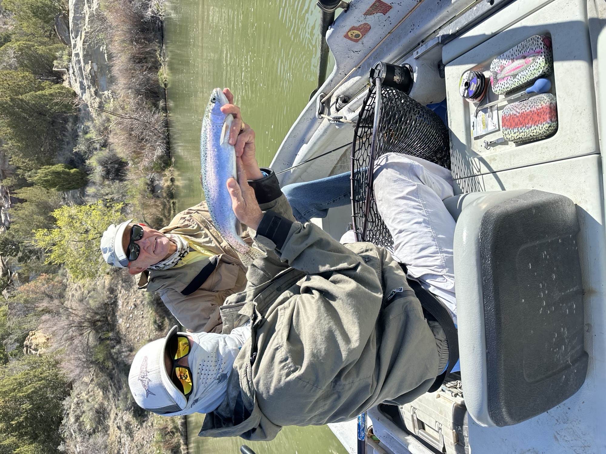 Brown trout