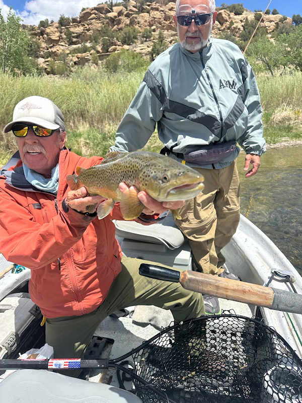 Client releasing large brown trout.