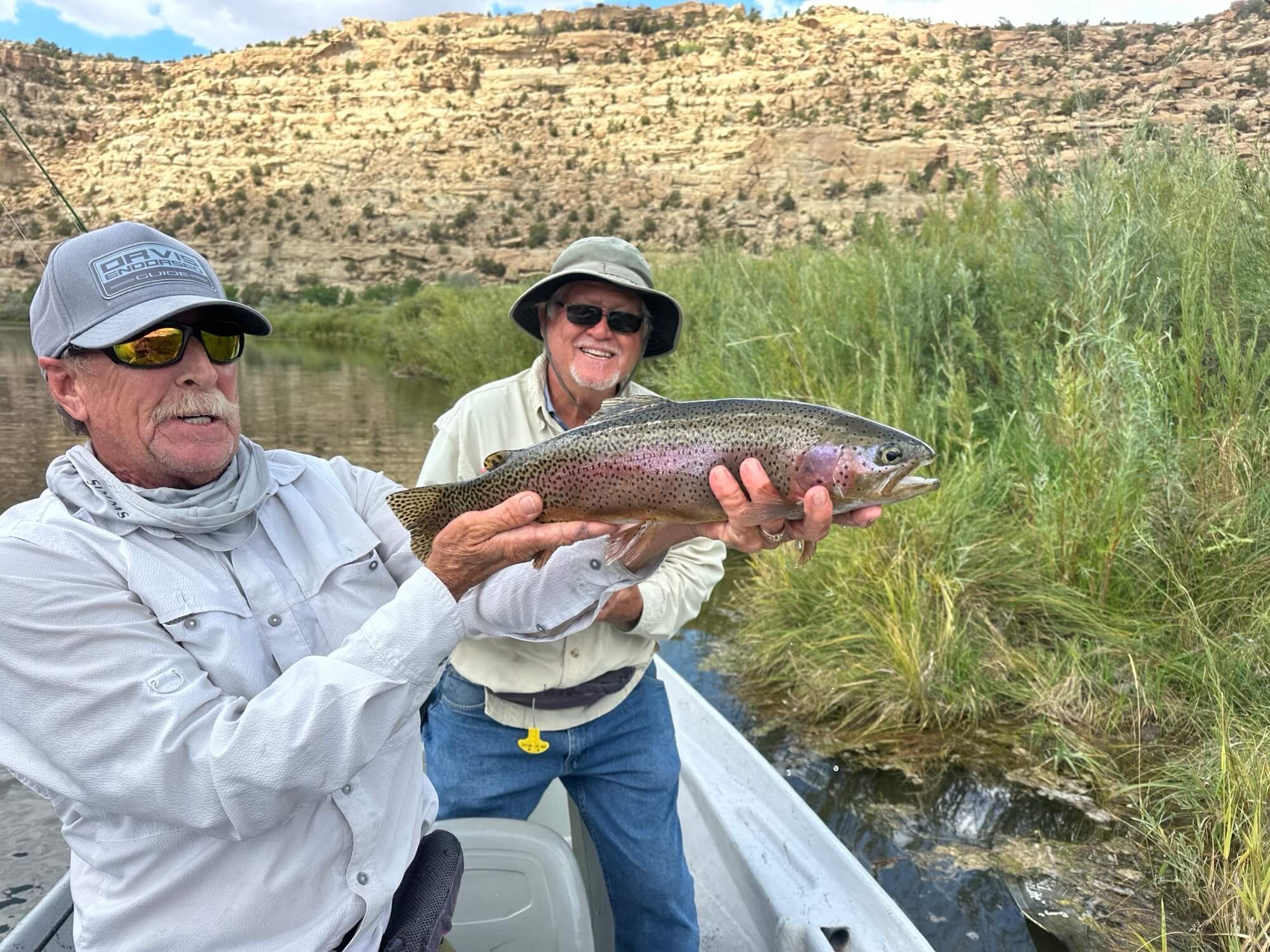 Rainbow Trout